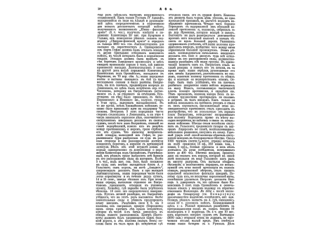 Рис.2. Современные канадские лыжи.