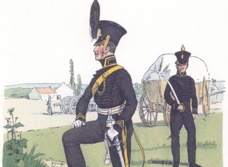 Брауншвейг. Артиллерия (1815)